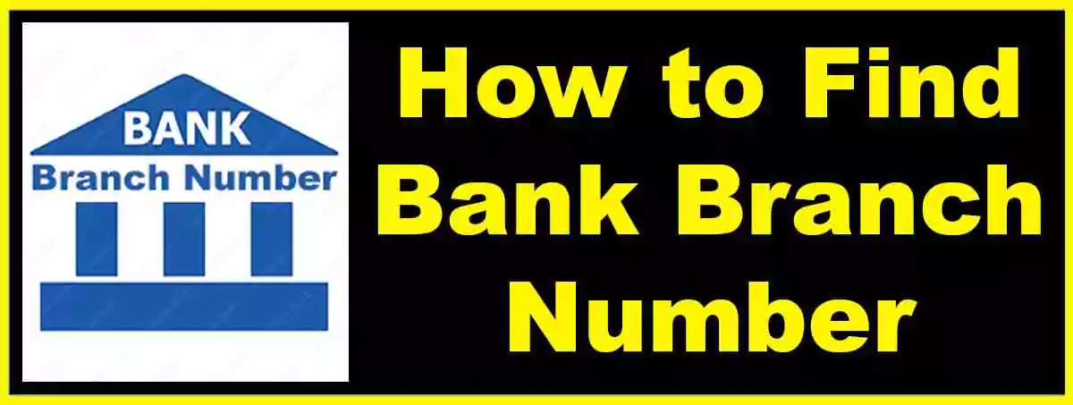 How to Find Bank Branch Number