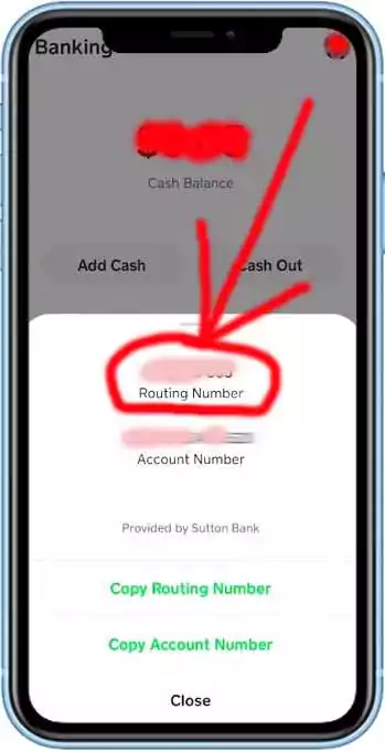 How to find routing number on Cash App step 3